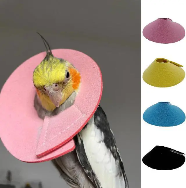 Alt view image 6 of 7 - 4 Pcs Bird Cone Collar, Pet Parrot Anti-bite Elizabethan Collars, Bird Collars for Feather Plucking for Lovebird Budgerigar Cockatiel Cockatoo Parrots (Mix Colors)