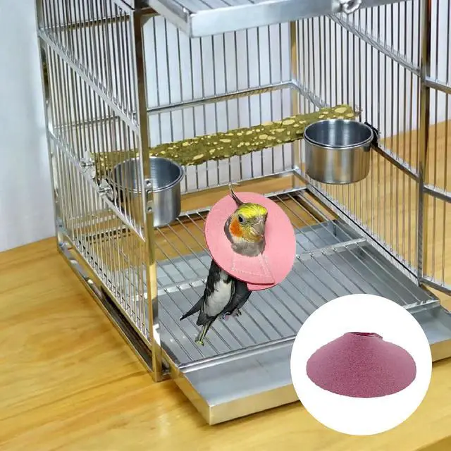 Alt view image 7 of 7 - 4 Pcs Bird Cone Collar, Pet Parrot Anti-bite Elizabethan Collars, Bird Collars for Feather Plucking for Lovebird Budgerigar Cockatiel Cockatoo Parrots (Mix Colors)