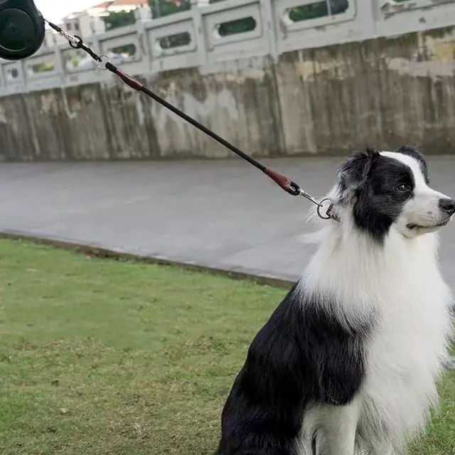 Alt view image 5 of 7 - 3FT Dog Tether Lead No Handle Dog Leash Tie Down Extension Rope | Extender Leash for Medium Large Dogs Indoor Training Car Bicycle Outdoor Running Walking