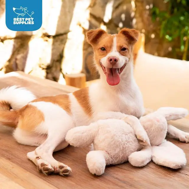 Alt view image 6 of 7 - Bunny Buddy Squeaky Plush Dog Toy - Beige, Medium | Soft Plush, Squeaks & Crinkles, Perfect for Moderate Chewers, Toss & Fetch Play, Stress & Anxiety Reliever, Ideal Gift Toy