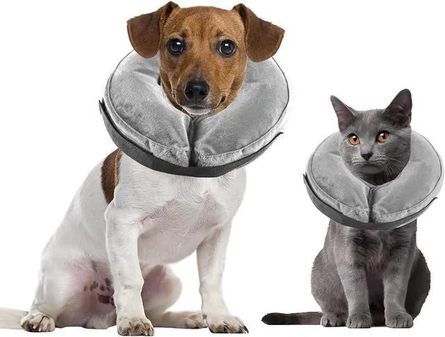 Main image of Dog Cone Collar, Inflatable Dog Cone Soft Protective Pet Recovery Collar After Surgery for Dogs and CatsGrey XS (5-8")