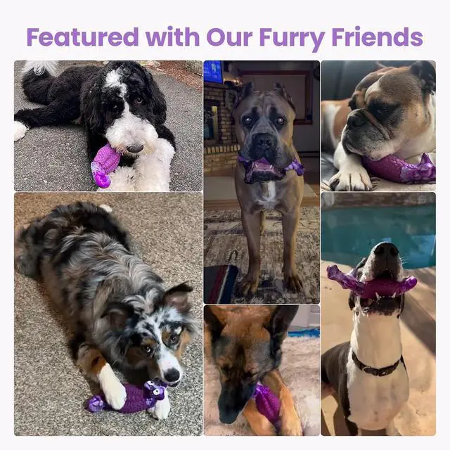 Alt view image 7 of 7 - Tough Dog Toys for Aggressive Chewers, Squeaky Indestructible Chew Toy | Alligator Dog Toy for Medium & Large Dogs, Hard Nylon & Natural Rubber, Teeth Cleaning Texture, Bacon Flavor, Keeps Dogs Busy