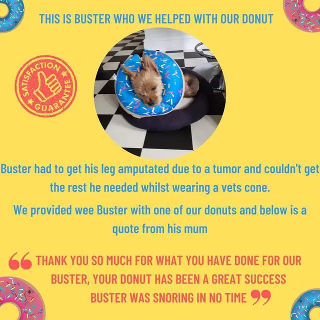 Alt view image 4 of 7 - Dog Donut Collar | Great Alternative to a Traditional Plastic Cone or a Soft Recovery Collar | Our Inflatable Recovery Collar is an Excellent Choice After Surgery | Made for Large Dogs (Blue)