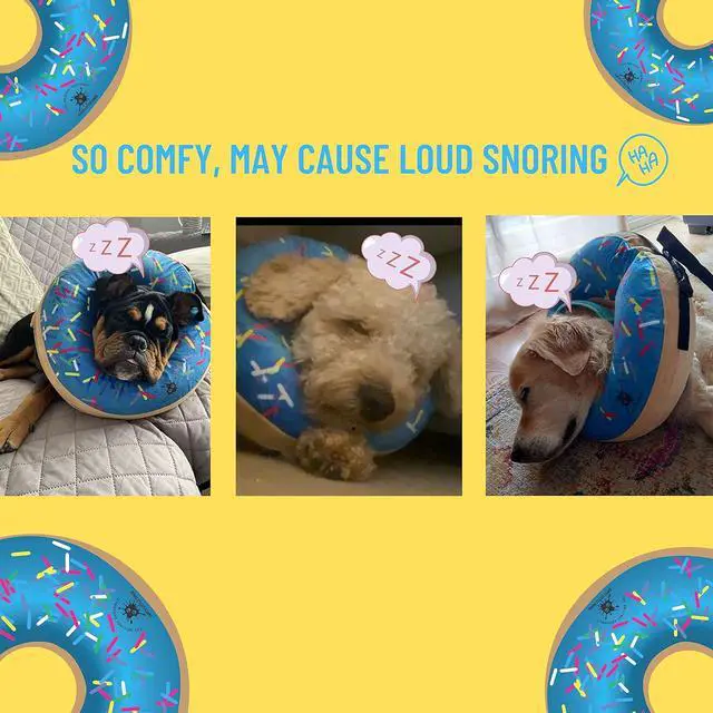 Alt view image 2 of 7 - Dog Donut Collar | Great Alternative to a Traditional Plastic Cone or a Soft Recovery Collar | Our Inflatable Recovery Collar is an Excellent Choice After Surgery | Made for Large Dogs (Blue)