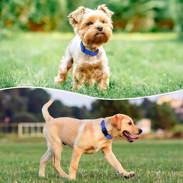 Alt view image 2 of 6 - Reflective Dog Collar Padded with Soft Neoprene Breathable Quick Release Basic Dog Collars for Medium Dogs Blue Boy Girl