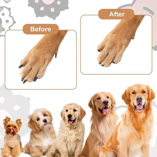 Alt view image 5 of 7 - Dog Nail File with 6Pcs Replaceable Filing Disc, Dog Scratch Board for Safe and Easy Nail Care, Dog Nail Scratch Board Ensures Smooth and Healthy Nails for Dogs and Cats