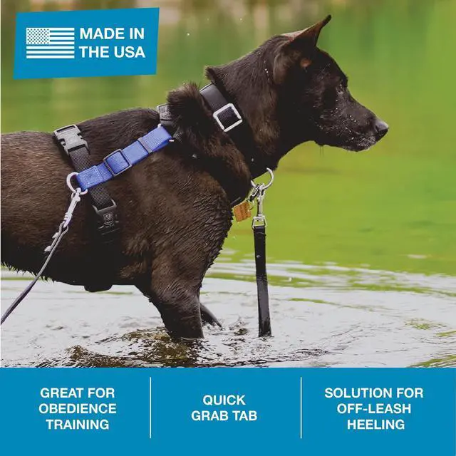 Alt view image 3 of 6 - Dog Training Leash, 9 Inch Tab Lead for Obedience, Recall, and Agility Training, Made in The USA, Black