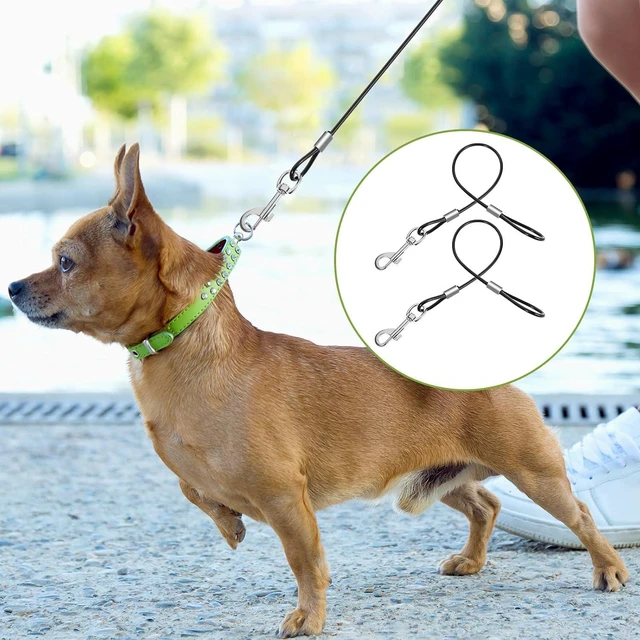 Alt view image 6 of 7 - Xindojuz 2 PCS Chew Proof Dog Leash Extender for Training, Retractable Dog Leashes Heavy Duty for Small Dogs, No Tangle Multiple Two Dogs Leashes for Collars & Harnesses (Black, 15.75 Inch/40 cm)