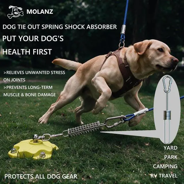 Alt view image 2 of 7 - Dog Tie Out Spring, Heavy Duty Shock Absorber Spring for Tie Out Cable & Chain, Rustproof Stainless Steel Buffer, Dog Leash Shock Absorber (1 Spring)