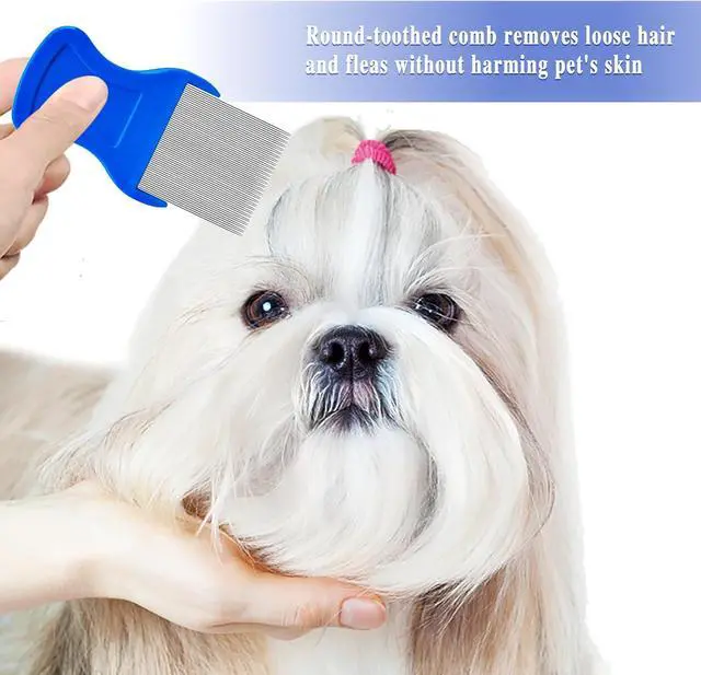 Alt view image 7 of 7 - 6 Pcs Flea Lice Comb,Stainless Steel Tear Stain Remover,Professional dog eye comb, Flea and Tick Combs for Dogs & Cats, Fine Tooth Dog Comb for Grooming