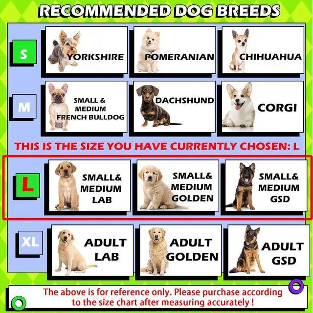 Alt view image 4 of 7 - Hard & Heavy Plastic Dog Cone Collar Alternative for Lab Golden GSD (Small&Medium Sized), Adjustable Elizabethan Protective Cone for Healing, Comfortable Pet Recovery Collar Cone of Shame Anti-Lick