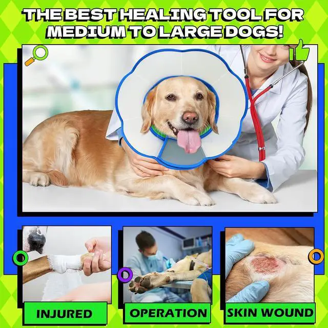 Alt view image 5 of 7 - Hard & Heavy Plastic Dog Cone Collar Alternative for Lab Golden GSD (Small&Medium Sized), Adjustable Elizabethan Protective Cone for Healing, Comfortable Pet Recovery Collar Cone of Shame Anti-Lick