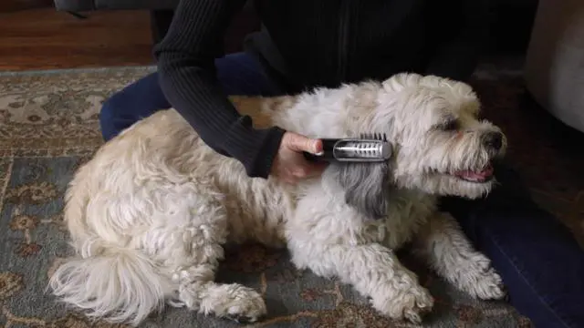 Alt view image 5 of 5 - Alpha Pro Dog Trimmer for Grooming | Painlessly Removes Knots & Tangles from Long Haired Dogs | Dematting Comb for Dogs & Cats, Pet Grooming Tool
