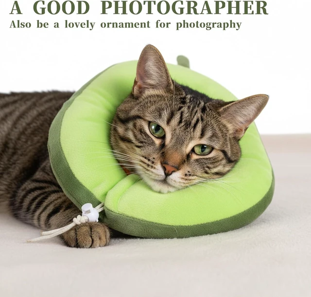 Alt view image 6 of 7 - Adjustable Cat Cone Soft Cat Recovery Collar Cute Kitten Fruits Shaped Cats Neck Collar Comfortable Pet Neck Strap Lightweight Elizabethan Cone for Cats Kitten and Puppies
