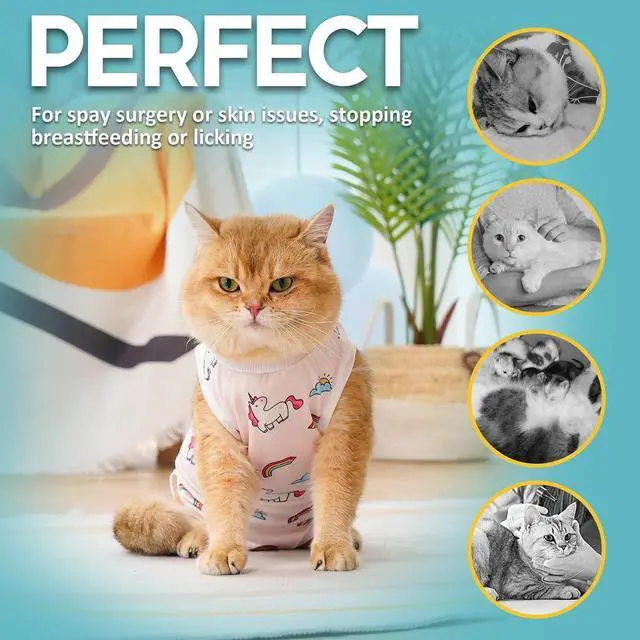 Alt view image 4 of 6 - Cat Recovery Suit - Kitten Onesie for Cats After Surgery | Stop Licking, Protects Stitches, M: Neck 9.5"-11"/Chest 13.7"-15.4"/Back 10.4", Soft & Breathable, Hook & Loop, Cute