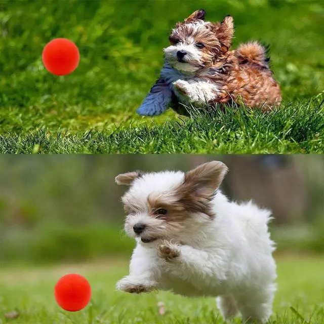 Alt view image 7 of 7 - Puppy Balls - Pack with Different Functions & Teething Toys for Small Dogs, Squeaky Dog Balls, Rubber Chew Toys for Enrichment