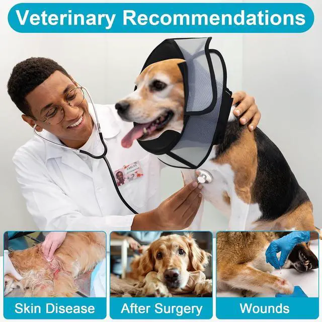 Alt view image 5 of 7 - Soft Elizabethan Dog Cone Collar for Large, Medium & Small Dogs - Adjustable Recovery Collar for Post-Surgery, Wound Protection & Licking Prevention - Lightweight Pet Cone AlternativeBlack,L