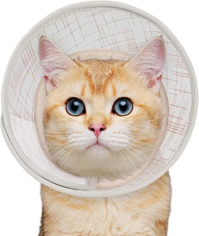 Main image of Soft Cat Cone Collar to Stop Licking, Breathable Mesh Cone with Waterproof Liner Recovery Collar, for Kitten, Comfortable Elizabethan Alternative for Spay Neuter Grooming (S)