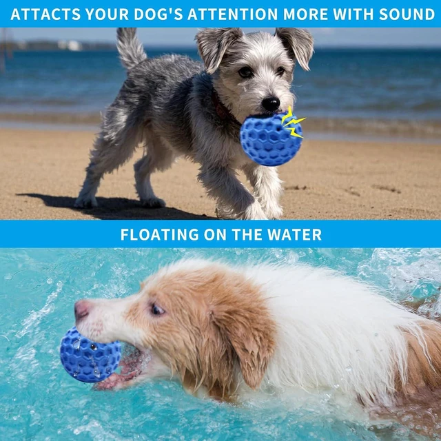 Alt view image 5 of 7 - Durable Indestructible Squeaky Dog Ball for Aggressive Heavy Chewers, Unbreakable Tough Natural Rubber Dog Toy, Bouncy Interactive Ball for Medium & Large Dogs, Safe for Teeth & Gums (Blue)