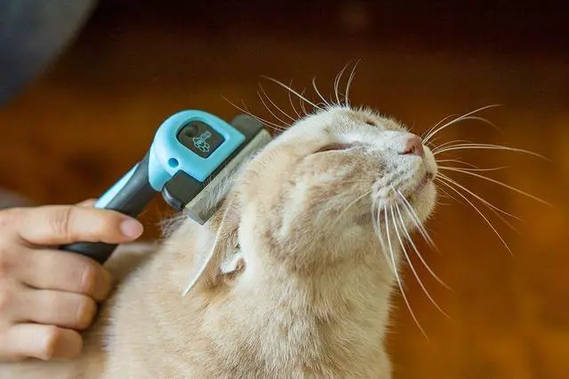 Alt view image 6 of 6 - Pet Grooming Brush for Shedding, Long & Short Hair, Reduces Shedding by More Than 95%, Professional Deshedding Tool for Dog & Cat, Black