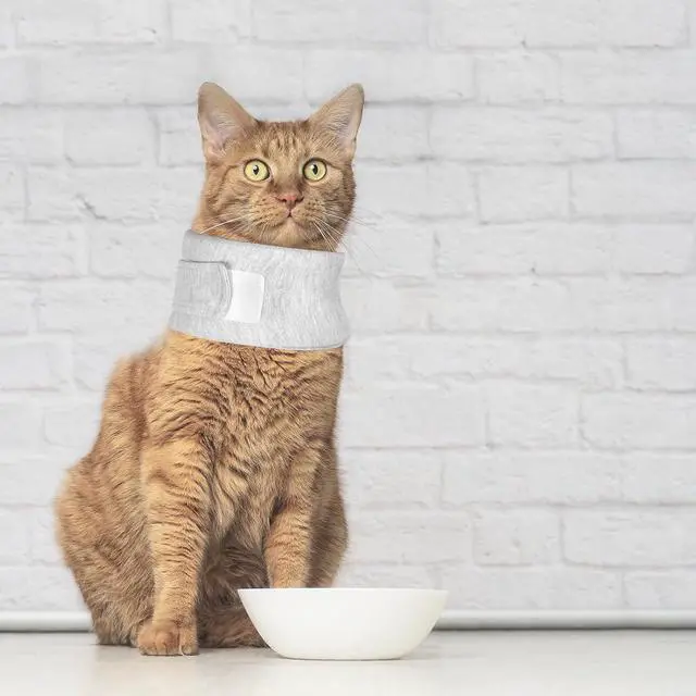 Alt view image 4 of 6 - Cat Neck Brace, Adjustable Breathable Elizabethan Collar for Pet After Surgery Recovery Cat Neck Cervical Cone for Small Dogs Puppies Kittens with Neck Circumference 6.3-8.6 Inch (X-Small,Grey)