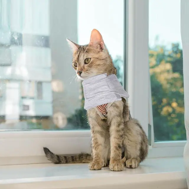 Alt view image 6 of 6 - Cat Neck Brace, Adjustable Breathable Elizabethan Collar for Pet After Surgery Recovery Cat Neck Cervical Cone for Small Dogs Puppies Kittens with Neck Circumference 6.3-8.6 Inch (X-Small,Grey)