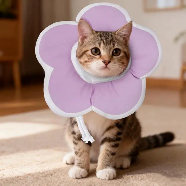 Alt view image 5 of 7 - Cute Flower Cone, Anti-Splashing Water Soft E Collar for Cats After Surgery, Neck Pillow for Cozy Sleep and Anti-Licking, Donut Cone for Puppies to Take Photos (Purple, S)