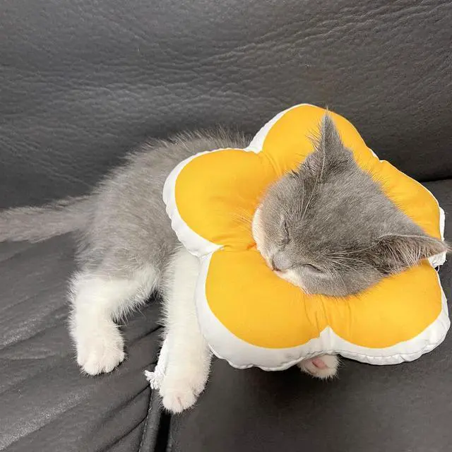 Alt view image 6 of 7 - Cute Flower Cone, Anti-Splashing Water Soft E Collar for Cats After Surgery, Neck Pillow for Cozy Sleep and Anti-Licking, Donut Cone for Puppies to Take Photos (Purple, S)