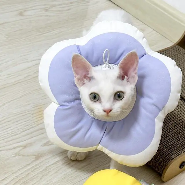Alt view image 7 of 7 - Cute Flower Cone, Anti-Splashing Water Soft E Collar for Cats After Surgery, Neck Pillow for Cozy Sleep and Anti-Licking, Donut Cone for Puppies to Take Photos (Purple, S)