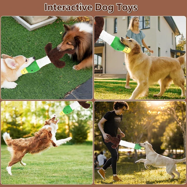 Alt view image 6 of 7 - Plush Dog Toys for Large Dogs, Duck Stuffed Squeaky Dog Chew Toy with Crinkle Paper, Interactive Pull Puppy Toys - Tug of War Dog Toys for Big Medium Samll Dog