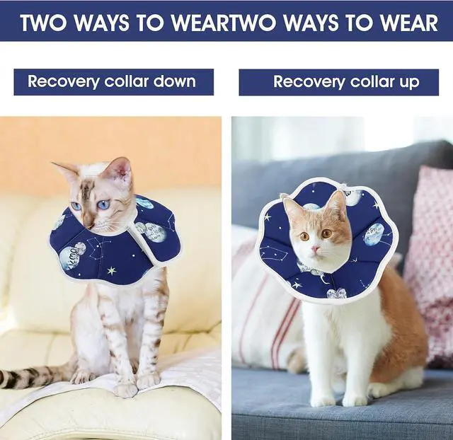 Alt view image 3 of 7 - Cobee Soft Cat Cone Collar, Protective Cute Small Cat Recovery Collar Adjustable Fasteners Collars for Kittens Cats E-Collars After Surgery Wound Healing, Fit 6.3"-9" Neck Circumference(Constellation)