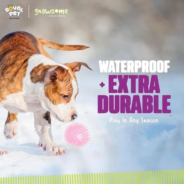 Alt view image 3 of 7 - Medium Squeaker Ball Dog Toy, Medium 3.5", Colors will vary, All Breed Sizes