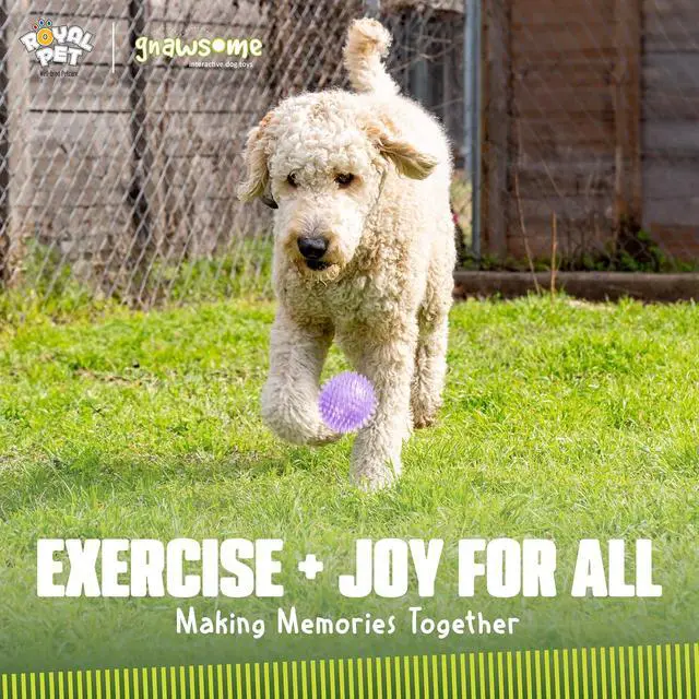 Alt view image 6 of 7 - Medium Squeaker Ball Dog Toy, Medium 3.5", Colors will vary, All Breed Sizes