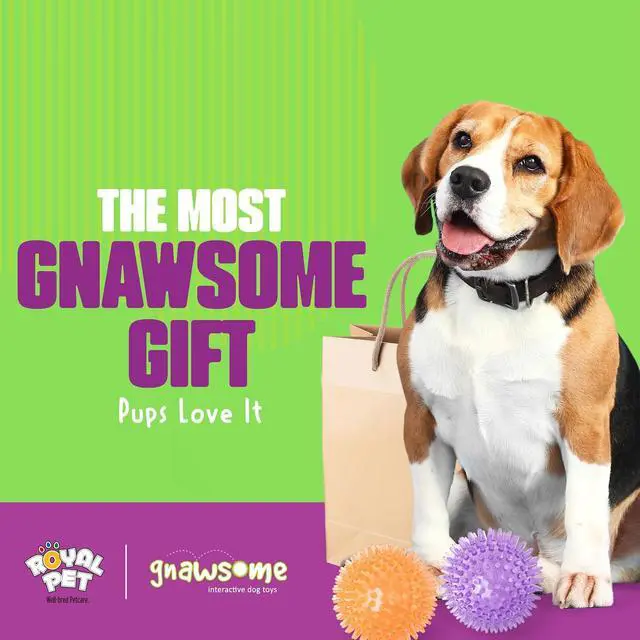 Alt view image 7 of 7 - Medium Squeaker Ball Dog Toy, Medium 3.5", Colors will vary, All Breed Sizes