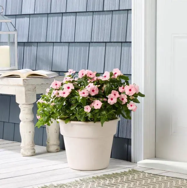 Main image of Mainstays Flint Round Resin Planter, Vanilla Dream, 10.5 in H x 13.5 in W x 10.5 in L