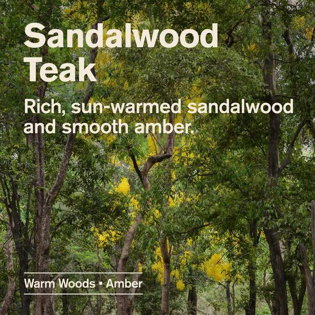 Alt view image 4 of 5 - Every Man Jack Sandalwood Teak Hydrating Body Wash for Men, Naturally Derived, Warm Wood, Amber, 16.9 fl oz, 1 Count