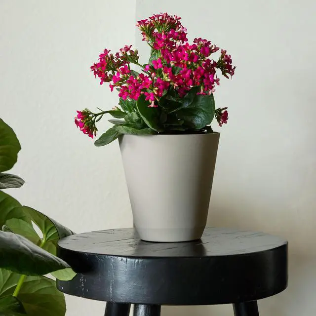 Alt view image 3 of 4 - Mainstays 11 in. Beige Resin Self-Watering Planter