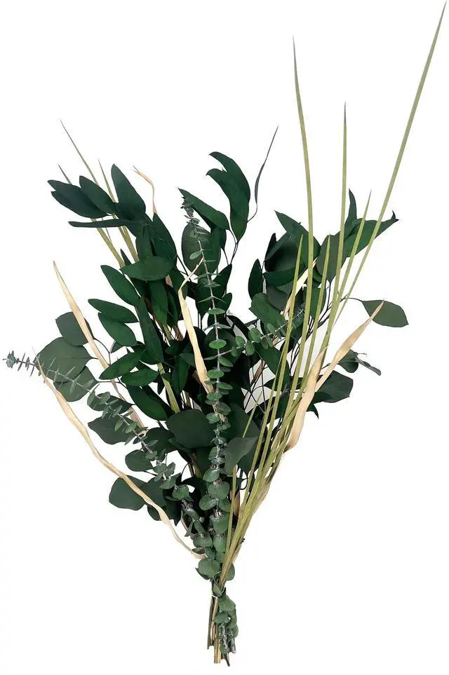 Main image of Botanical Avenue Eucalyptus Mix Green Bouquet - Indoor Decor, Artisan Crafted, Dried Floral Arrangement