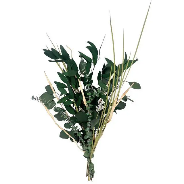 Alt view image 5 of 5 - Botanical Avenue Eucalyptus Mix Green Bouquet - Indoor Decor, Artisan Crafted, Dried Floral Arrangement