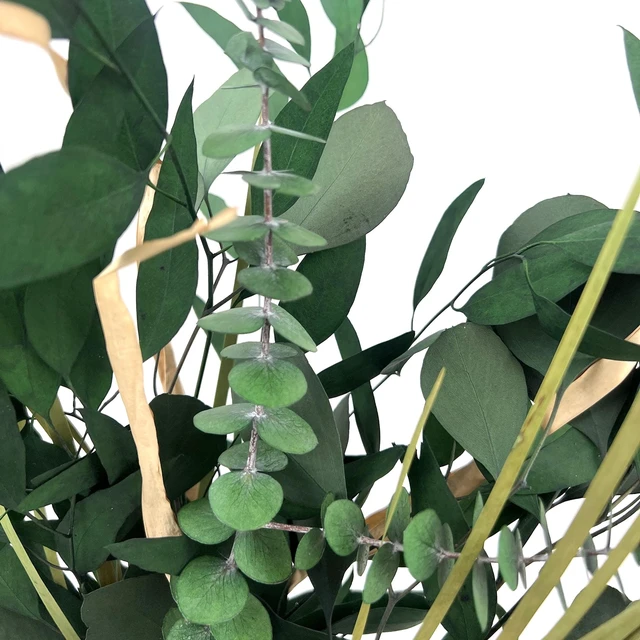 Alt view image 4 of 5 - Botanical Avenue Eucalyptus Mix Green Bouquet - Indoor Decor, Artisan Crafted, Dried Floral Arrangement