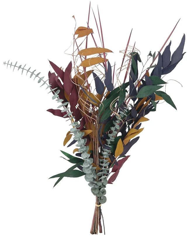 Main image of Botanical Avenue Dried Eucalyptus Multi Bunch for Home Decor