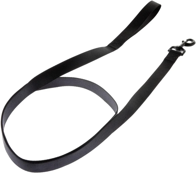 Main image of Vibrant Life 6' Solid Polyester Leash, Black, L