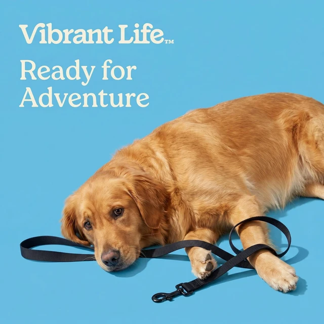 Alt view image 2 of 6 - Vibrant Life 6' Solid Polyester Leash, Black, L