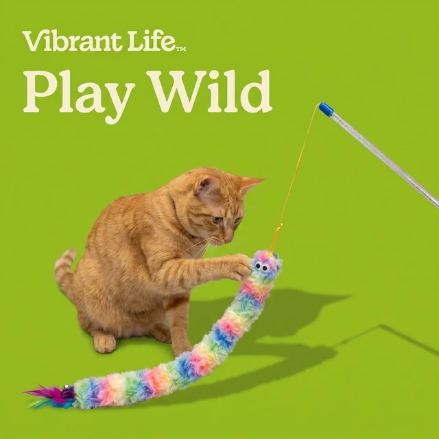 Alt view image 5 of 5 - Vibrant Life Catnip Rainbow Wand Teaser Cat Toy, 23"