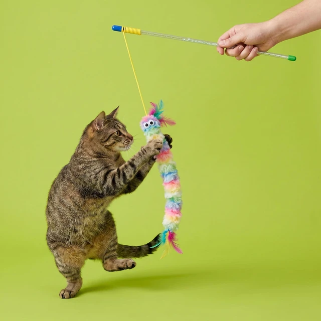 Alt view image 3 of 5 - Vibrant Life Catnip Rainbow Wand Teaser Cat Toy, 23"