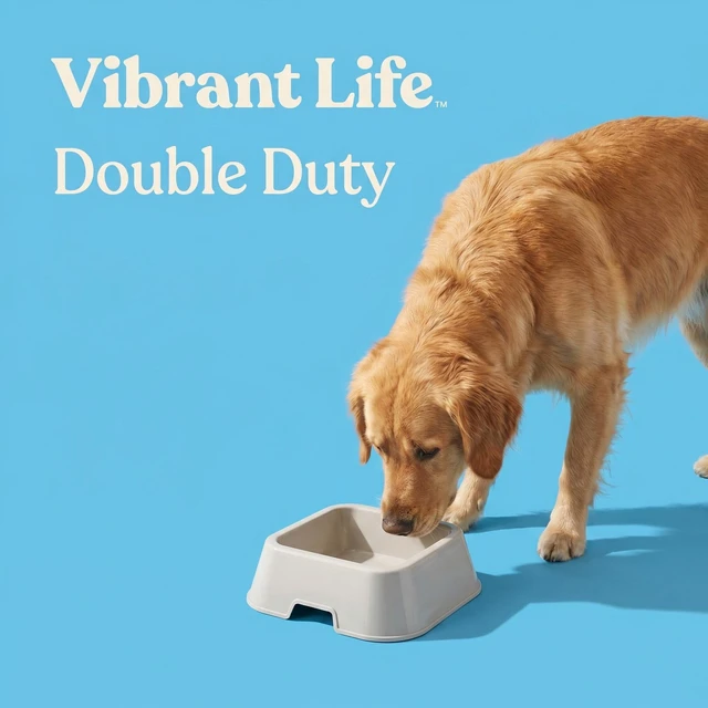 Alt view image 4 of 6 - (2 pack) Vibrant Life Medium 8-Cup Square Double Wall Plastic Pet Bowl, Gray