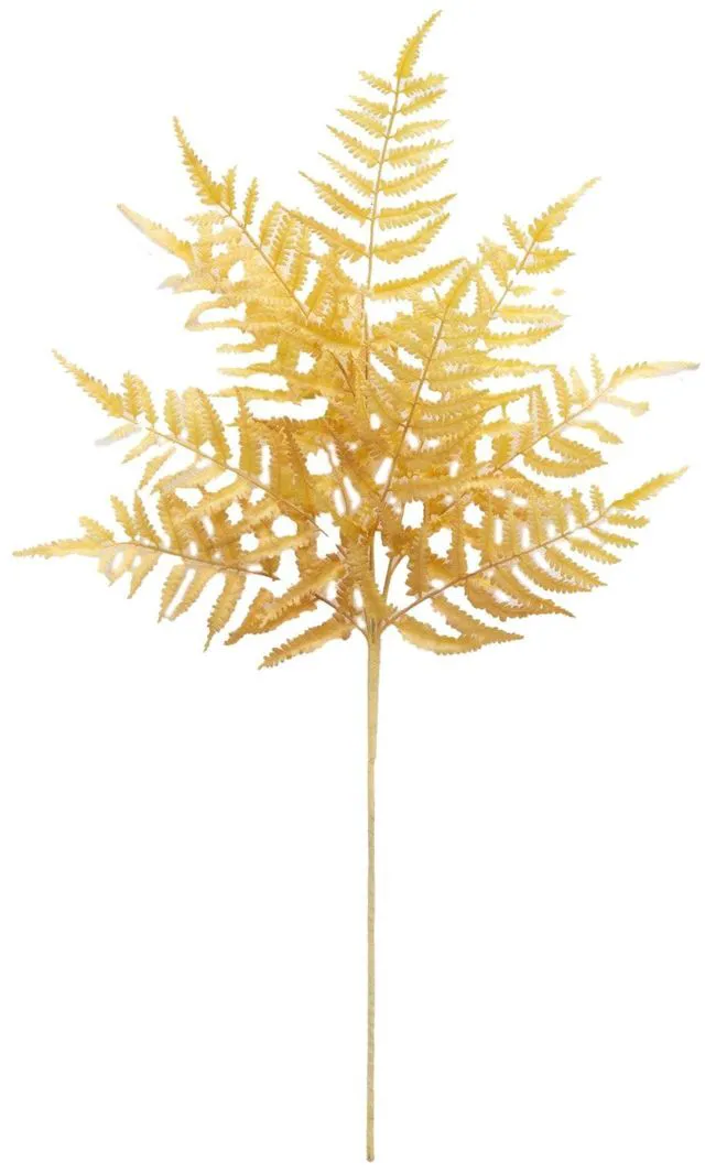 Main image of Better Homes & Gardens 33 in Artificial Indoor Dried White Fern Stem