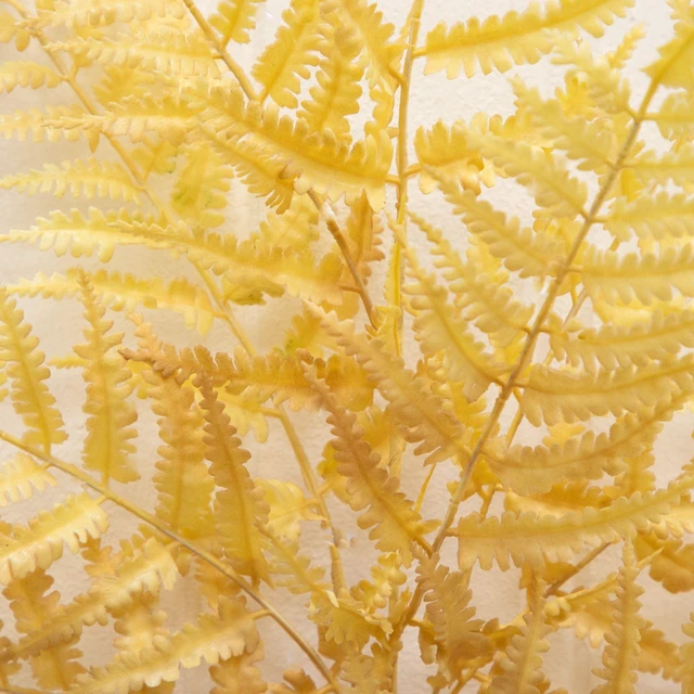 Alt view image 6 of 7 - Better Homes & Gardens 33 in Artificial Indoor Dried White Fern Stem