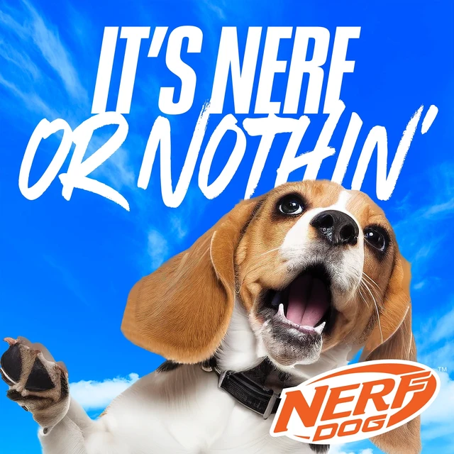 Alt view image 2 of 6 - Nerf Dog Toys Squeaky Tennis Ball Dog Toy, 2 inch, 3 Pack