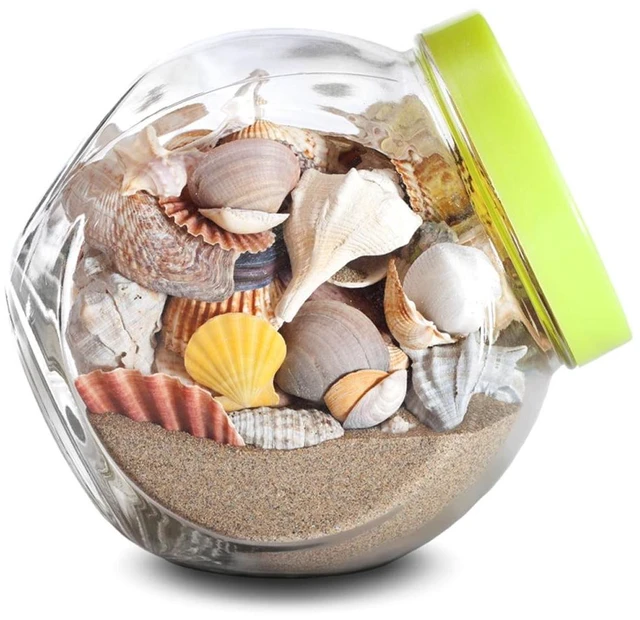 Alt view image 3 of 5 - Mosser Lee Desert Sand Soil Cover for Terrariums and Indoor Gardens, 5 lb, Pack of 1